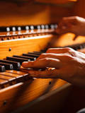 Orgel Orgel