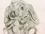 Blyanttegning av kanin.