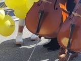 Cello på hjul
