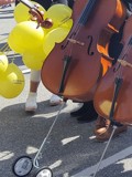 Cello på hjul